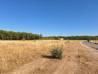 Terreno en venta en Santa Cruz - Industria - Polígono Campollano en Albacete