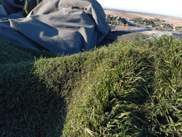 Venta césped artificial