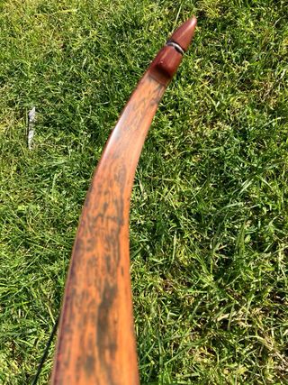 Arco Robertson Vision Falco 55#