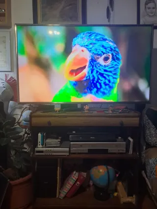 Televisor LG 50 4K  UHD  Smart TV WiFi