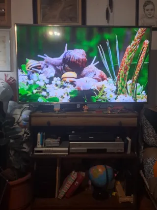 Televisor LG 50 4K  UHD  Smart TV WiFi