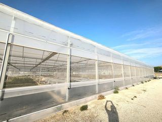 Terreno en venta en Las Bayas en Elche