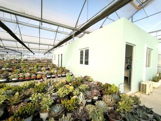 Terreno en venta en Las Bayas en Elche