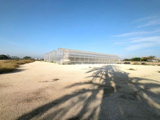 Terreno en venta en Las Bayas en Elche