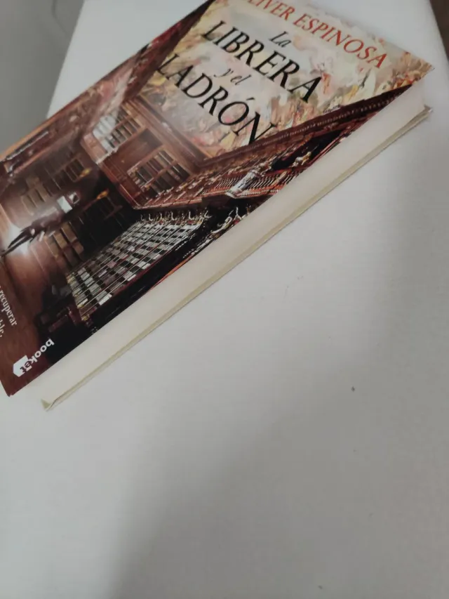 La Librera y el Ladrón