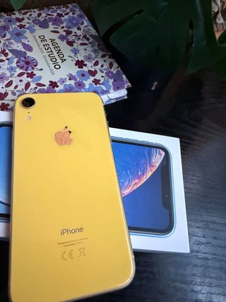 iPhone XR Giallo 64 G