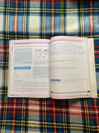 Història 2n BATX Vicens Vives