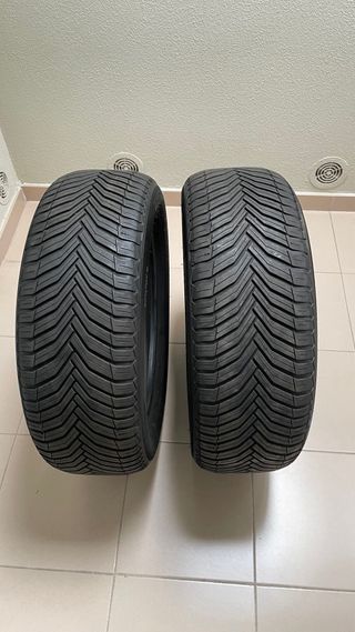 2 Neumáticos Michelin 225/55R17
