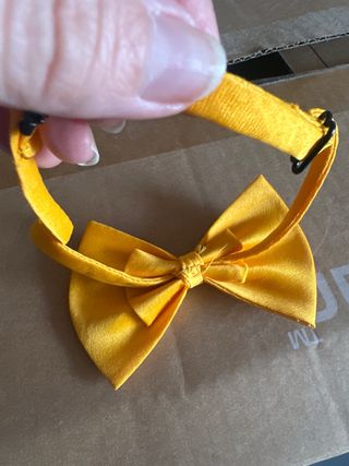 Pajarita amarilla para hombre