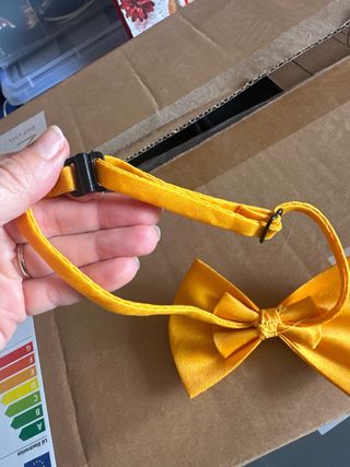 Pajarita amarilla para hombre