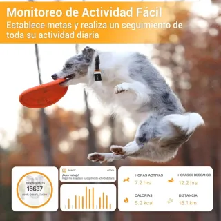 Pawfit 3 Rastreador GPS y actividad para perros