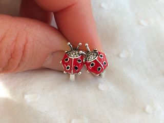 Pendientes aro mariquita plata de ley