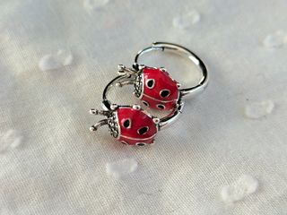 Pendientes aro mariquita plata de ley