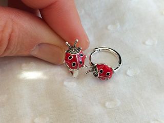 Pendientes aro mariquita plata de ley