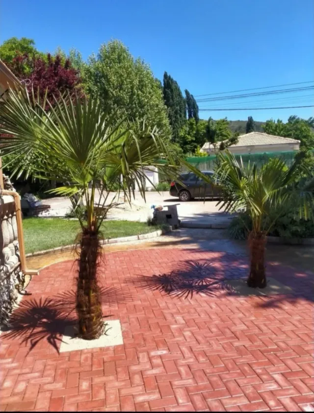 albañil profesional