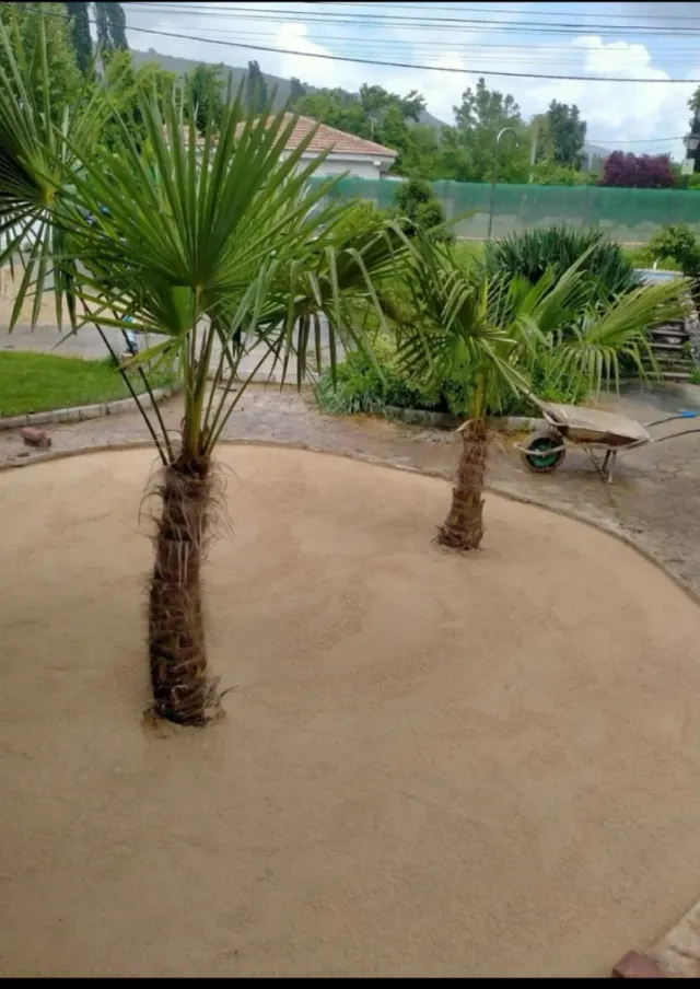 albañil profesional