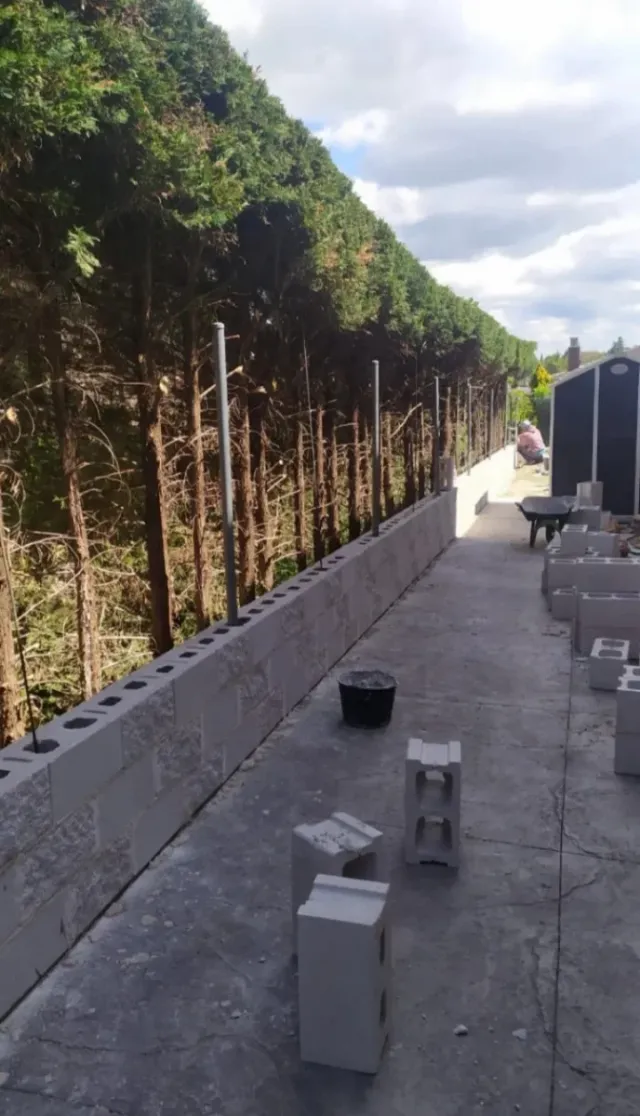 albañil profesional