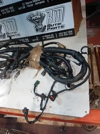 Cableado Motor Ford Focus 1.6 G8DA