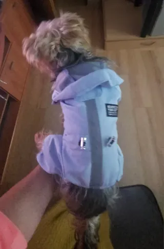 Chubasquero perro mini Bonapet azul cielo. XS