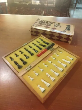 Scacchiera magnetica e dama