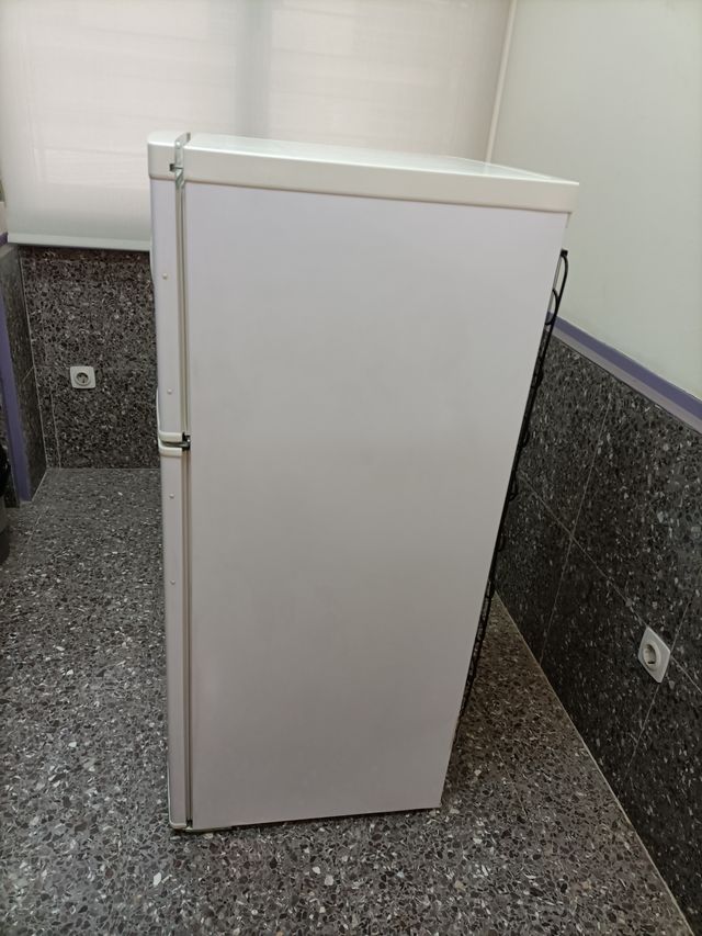 Nevera Congelador ASPES AD1202