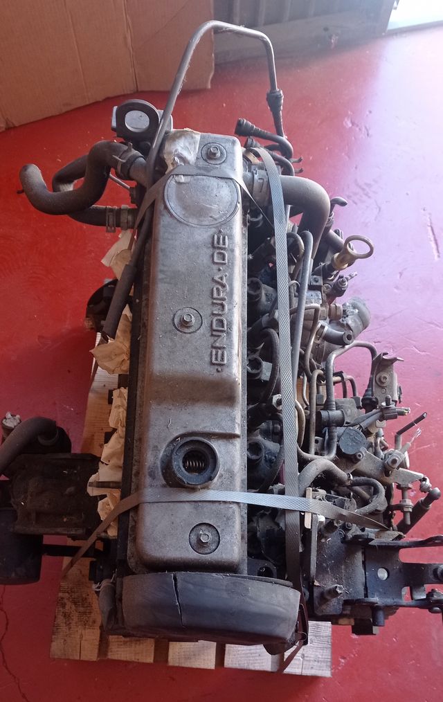 Motor Ford RFN