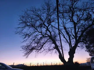 Busco empleo de limpieza