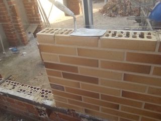 Ladrillo visto para construcción