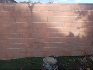 Ladrillo visto para construcción