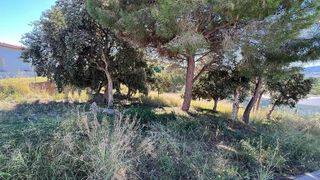 Terreno en venta en Mas Mora - Sant Daniel en Tordera
