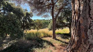 Terreno en venta en Mas Mora - Sant Daniel en Tordera