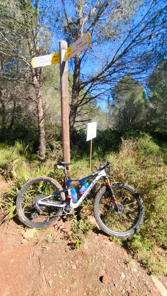 Cuadro Orbea Oiz + amortiguador + Tija