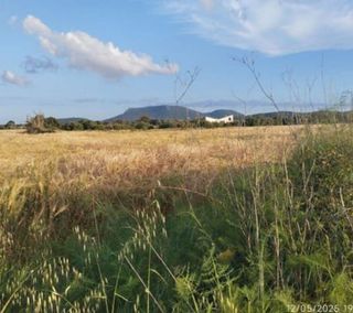 Terreno en venta en Llucmajor Interior en Llucmajor