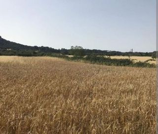 Terreno en venta en Llucmajor Interior en Llucmajor