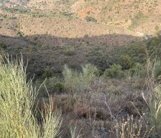 Terreno en venta en Llucmajor Interior en Llucmajor