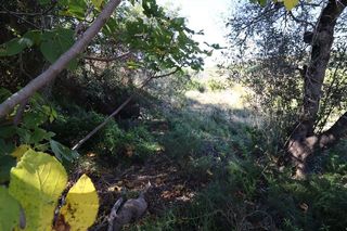 Terreno en venta en Ulldecona