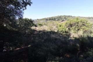 Terreno en venta en Ulldecona