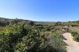 Terreno en venta en Ulldecona