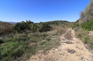 Terreno en venta en Ulldecona