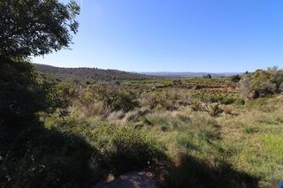 Terreno en venta en Ulldecona