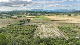 Terreno en venta en Can Picafort en Santa Margalida