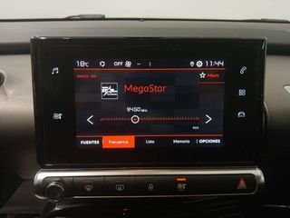 Citroën C4 Cactus  BlueHDi 100 S&S Feel