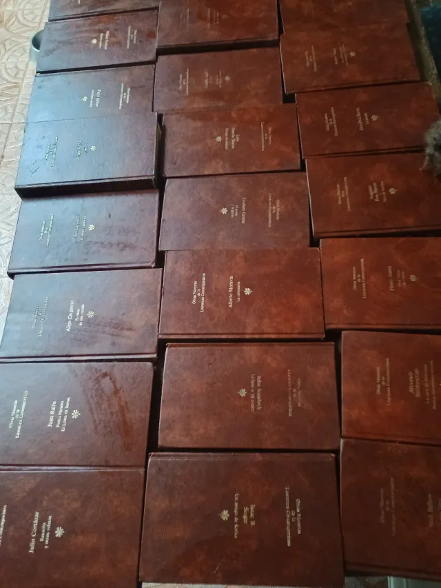 Lote de libros de literatura