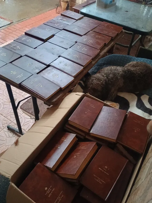 Lote de libros de literatura