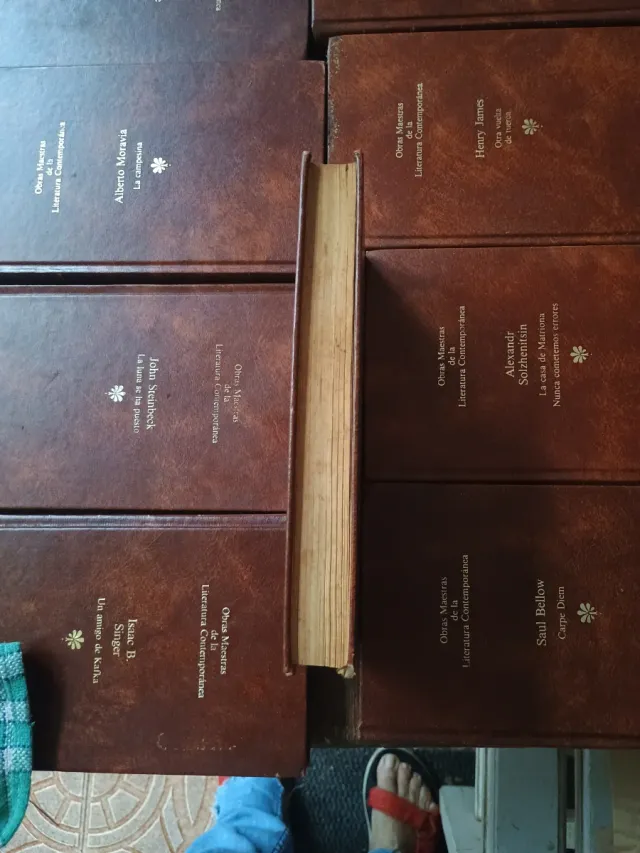 Lote de libros de literatura