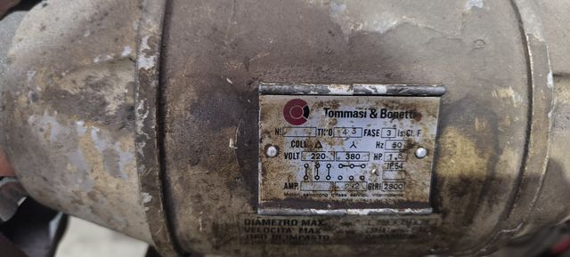 Lijadora Tommasi y Bonetti