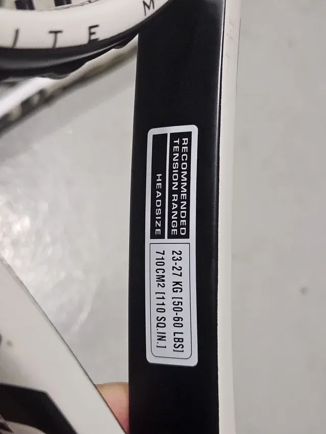 2 Raquetas Wilson Hammer