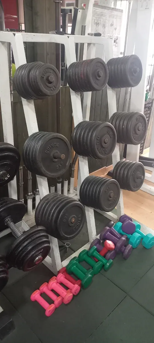 Disquero para discos gimnasio organizador