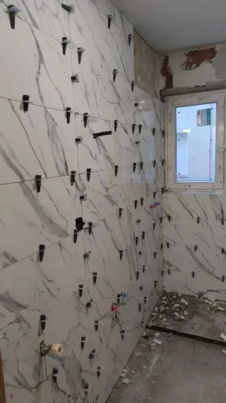 Alicatados ..... Autónomo