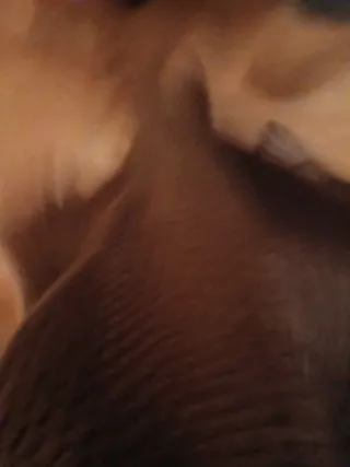 Maglione beige con pizzo grigio